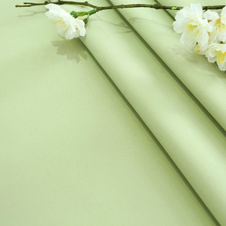 Gefütterter Voile-Vorhang Touch Of Grace Grün Bestickter transparenter Vorhang mit grünem Futter 4