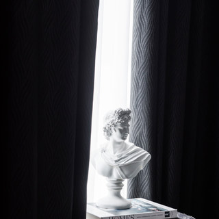 Superdicker Blätterweiden Kohle Schwarz 100% Verdunkelungsvorhang 7