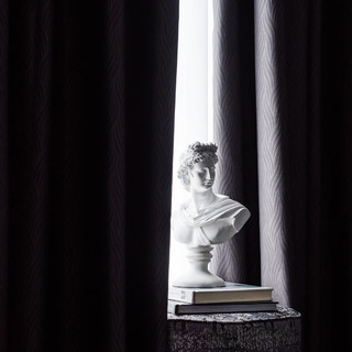 Superdicker Blattweiden-Dunkelgrau 100% Verdunkelungs-Vorhang 13