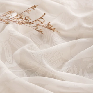 Flüsternde Blütenblätter Elfenbeinfarbene weiße florale transparente Spitze Vorhang 3