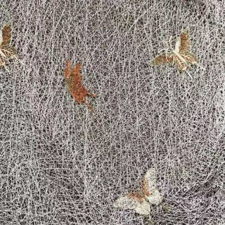 Winged Whisper bestickte Schmetterlingsgraue Mesh-Gardine 4