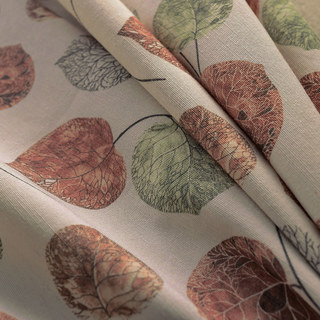 Le Rideau Feuille de Eucalyptus Moment Marron 4