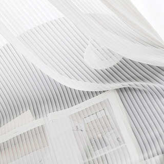 Sun Rays Bold Striped White Chiffon Sheer Curtain
Sun Rays Rayures audacieuses Blanc Chiffon Voilage 