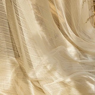 Crème lunaire Glissement doré Mesh Net Rideau 2