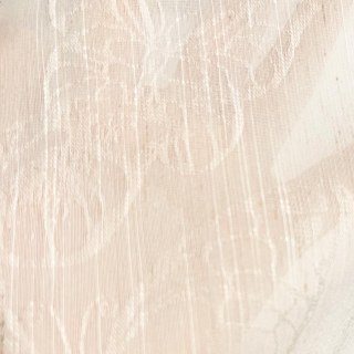 Gossamer Papillons ivoire rayé Floral Voile Rideau 5