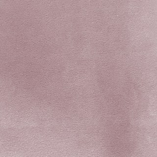 Matte Majesty Rose Poudré 100% Blackout Rideau en Velours