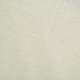 Cotton Club Pure Cotton Cream Heavy Semi Sheer Voile Curtain 2