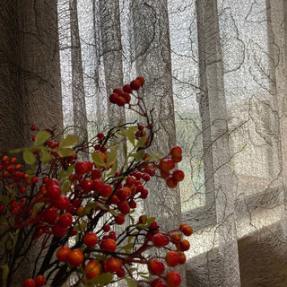 Gold Leaves Embroidered Gray Mesh Net Curtain 2